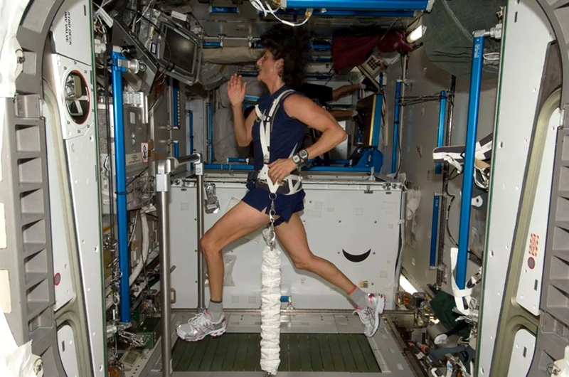 복합 작동 하중 지지 외부 저항 러닝머신(COLBERT)에서 운동을 하고 있는 우주비행사의 모습./ NASA