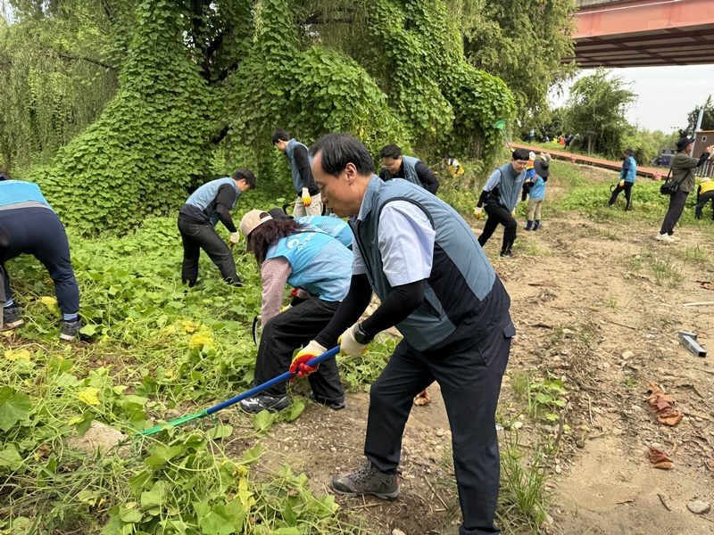 서울에너지공사는 강서구 강서습지생태공원 일대에서 강서구청 및 환경 단체들과 함께 유해식물 제거 활동을 펼쳤다고 9일 밝혔다. 제거 활동은 지난 8일 진행됐다./ 서울에너지공사