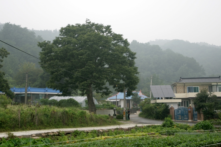 이동장터가 식품 사막의 대안으로 꼽히지만 재정이나 인력 문제로 사업에 차질을 빚는 경우도 있다. 사진은 이해를 돕기 위한 것으로 내용과 직접적 관련 없음. / 게티이미지