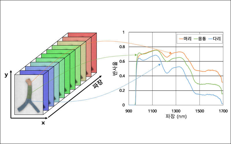 한국식품연구원이 개발한 초분광 영상 기술 개요. (왼쪽부터) 초분광 영상 데이터 구성도와 시료 영역에 따른 분광 데이터./ 한국식품연구원