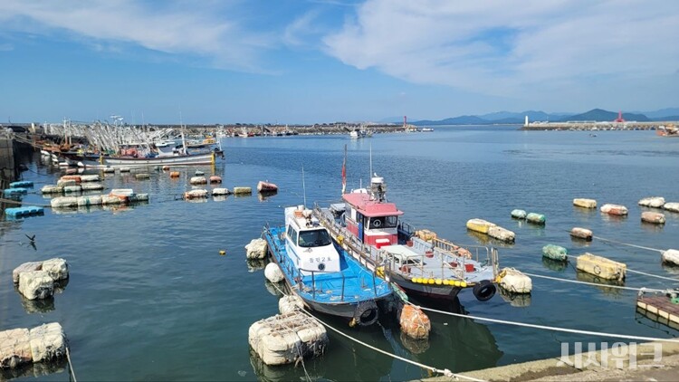 뜨거워진 바다는 해양 생태계와 어민의 생계만을 위협하는 것이 아니다. 우리 일상의 삶 전반에 영향을 미칠 수 있다. 사진은 충남 서천 홍원항. / 시사위크