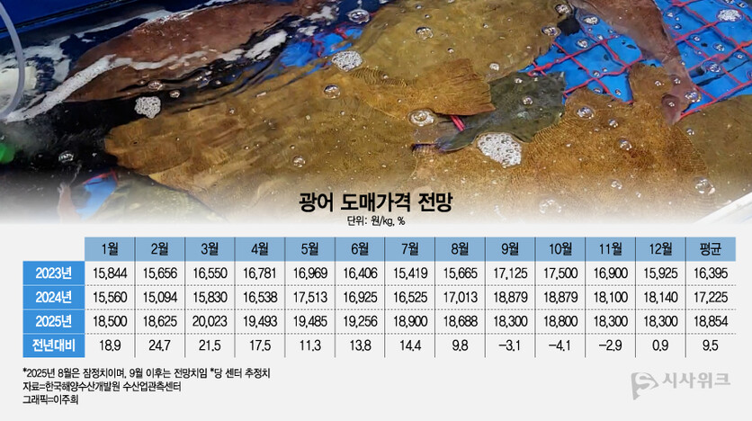 고수온으로 인한 양식장의 피해는 고스란이 소비자에게 전가된다. 광어의 집단 폐사로 인한 광어 가격 상승은 이를 보여주는 단적인 예다. / 시사위크