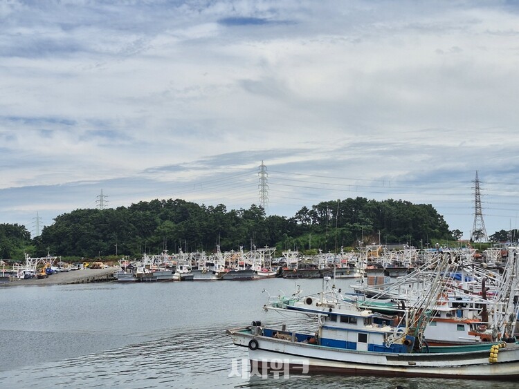 기후변화는 생각보다 빠르게 우리의 생활에 스며들었다. 사진은 충남 서천 홍원항에 정박 중인 어선들. / 시사위크