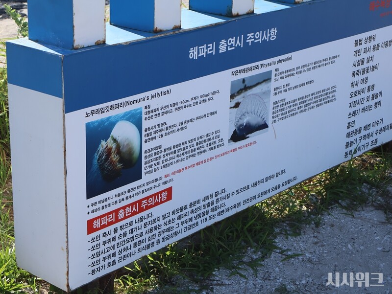 협재해수욕장에 붙은 해파리 출몰 경고판. 인근 해양구조대원들에 따르면 매일 2~3명 이상의 해파리 쏘임 환자가 발생한다고 한다./ 시사위크 