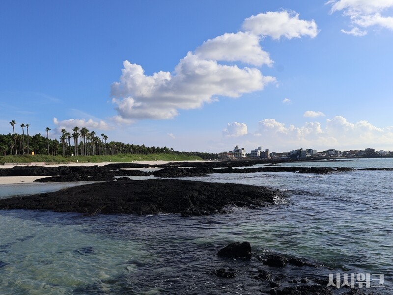 제주 바다는 기후변화가 국내서 가장 심한 곳 중 하나다. 이로 인해 과거 볼 수 없었거나 숫자가 적었던 생물들이 급격히 증가하고 있다. 사진은 제주 협재 해변 / 시사위크