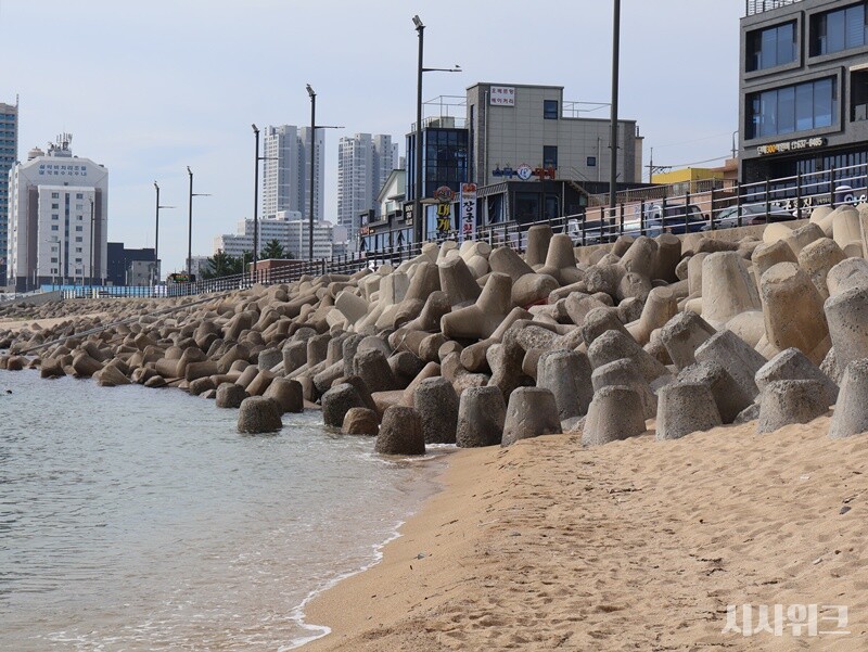 강원도 속초 장사항 인근 해변은 백사장 모래가 꾸준히 유실되면서 연안침식 우려를 사왔다. 사진은 해안도로와 맞닿아있는 장사항 해변에 테트라포드가 쌓여있는 모습. 장사항 해변 모래사장 폭이 좁아지자 지자체에선 태풍 등으로부터 피해를 막기 위해 백사장 끝 쪽에 테트라포드를 설치했다. / 시사위크