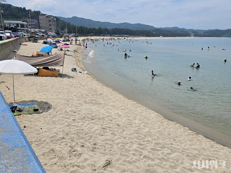 동산해변은 지난해 기준 연안침식 ‘D등급’을 받은 해안이다. 연안침식 실태조사에 따르면 동산해변은 해빈(해변)폭이 꾸준히 감소해왔다. 지난해 관측 기준 평균 해빈폭은 전년 대비 17.9% 감소했다. / 시사위크 