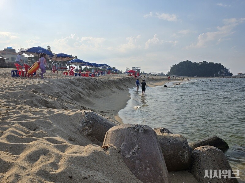 ​지난 8월, 취재진은 강원도 남항진 해변에서 가파른 모래절벽을 발견했다. 피서객들은 바닷물에 발을 담그기 위해 가파른 모래절벽을 타고 내려가고 있었다./ 시사위크​