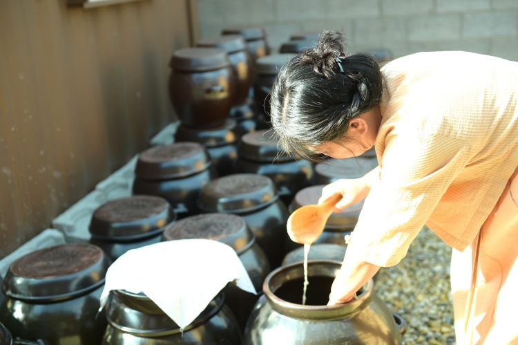 햅쌀로 만든 신도주는 송편과 함께 추석에 빠져서는 안 될 전통음식이었다. 사진은 전통주를 빚고 있는 해월도가 임해월(63) 대표. / 뉴시스