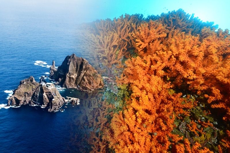 대한민국 영토 중 가장 먼 곳에 위치한 독도는 수많은 생명의 보금자리다. 이곳의 해양과학연구는 한국해양과학기술원(KIOST)이 20년 넘게 지속하고 있다. 이에 KIOST는  부산시 영도구 소재 국립해양박물관 로비 전시공간에서 독도 연구 20주년 기념 특별전시 ‘독도 파노라마’를 개최한다고 20일 밝혔다. 이번 전시는 오는 21일부터 11월 9일까지 진행된다.