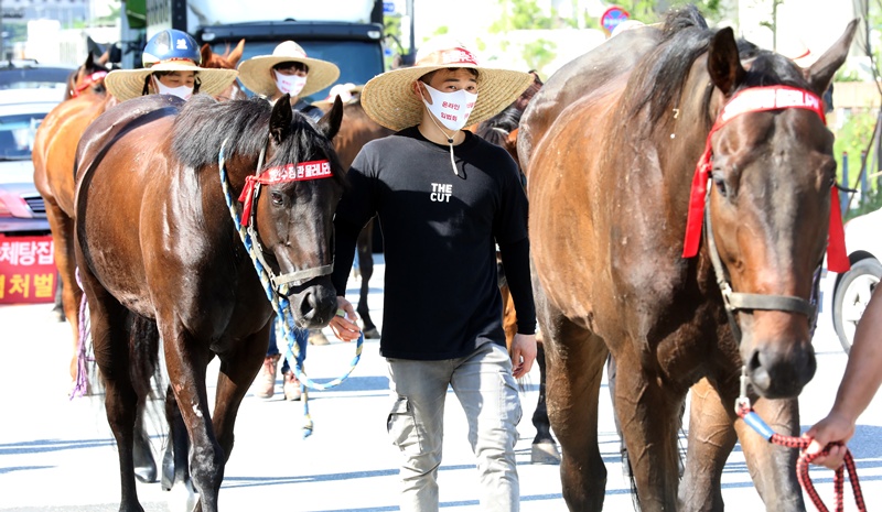 한국마사회가 ‘불법 경마 양성화’를 명분으로 전면 시행한 온라인 마권 발매 제도가 실제로는 기존 오프라인 고객의 ‘채널 이동’에 불과하며, 도박에 무관심하던 30대 이하 청년층을 도박 시장으로 끌어들이는 ‘입문’ 역할을 하는 것으로 드러났다. / 뉴시스