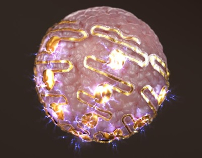 생명연과 한국과학기술원(KAIST) 이현주 교수팀은 지난 1월 신축성 미세전극 어레이를 개발, 뇌, 심장 오가노이드에서 발생하는 전기생리신호의 실시간 변화를 측정하는 데 성공했다. 사진은 고신축성 돌출형 미세전극 어레이의 개념도./ KAIST