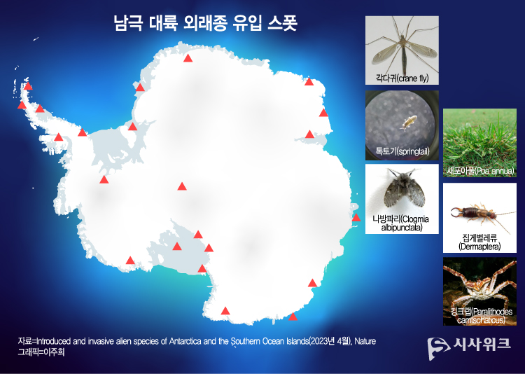 호주 모나쉬대학교 생물학과와 라트로브대학교 환경 및 유전학과 공동연구팀이 논문에서 밝힌 외래종 서식지는 총 36곳이며, 남극 대륙의 외곽을 중심으로 발견된 것을 알 수 있다. / 그래픽=이주희 기자