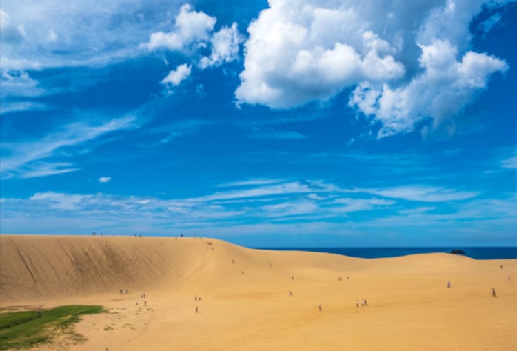 돗토리현에는 일본 최대 규모의 해안사구인 돗토리사구(사진)가 펼쳐져 관광객들의 발길이 이어지고 있다. 돗토리사구는 동서로 16km, 남북으로 2.4km에 달하는 것으로 알려졌다. / 모두투어