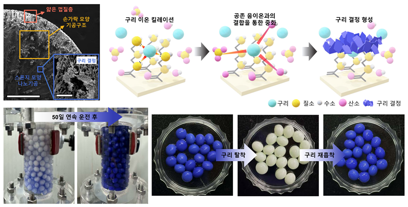 KIST 연구진이 개발한 캡슐은 기존 소재 성능 대비 약 2배 향상된 흡착용량 1,602.3mg/g을 기록했다. 또한 7회 반복 사용 후에도 성능 저하는 6.4% 이내, 50일 연속 운전에서도 구조적 및 기능성 안정성을 유지함을 확인했다./ 한국연구재단