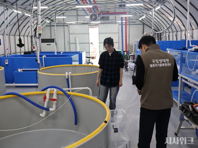 어류·양서파충류복원팀 연구원들은 아침부터 분주하게 움직이고 있었다. 멸종위기종인 ‘꼬치동자개’ 자연 방사를 준비하기 위함이다./ 사진=박설민 기자