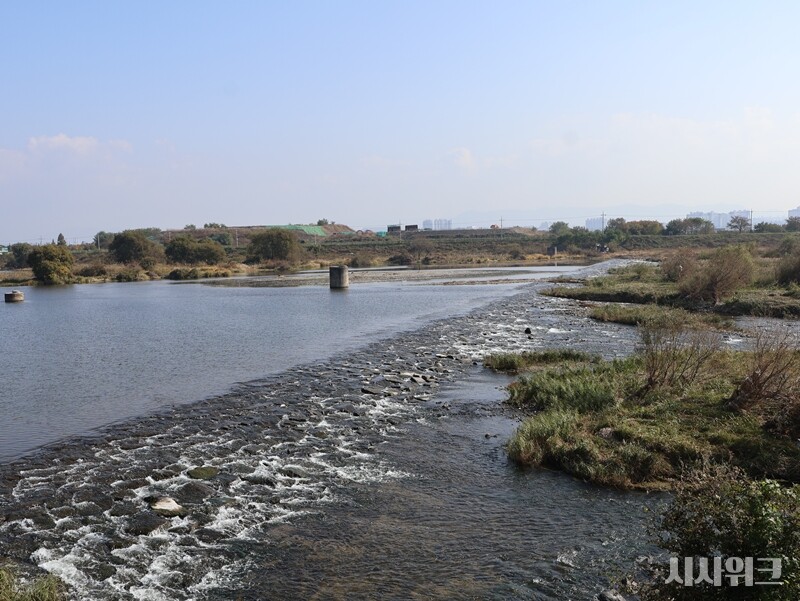 꼬치동자개 방류가 진행된 금호강의 풍경./ 사진=박설민 기자
