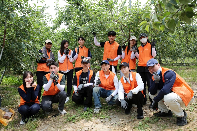 사진2. ㈜한화 경기 연천 사과농가 봉사활동