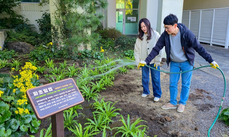 금호석유화학은 최근 멸종위기종 파초일엽의 성공적 양육 및 식재를 통해 그룹 임직원에 대해 자연자본 및 생물다양성 가치를 환기했다고 밝혔다. / 금호석유화학