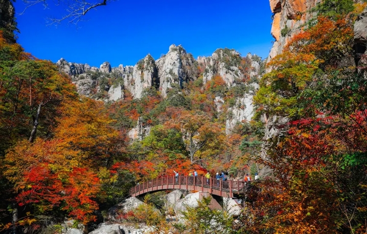 올해 가을 한국을 찾는 관광객들 사이에서 설악산과 남이섬 등 단풍명소에 대한 관심이 높은 것으로 나타났다. / 클룩