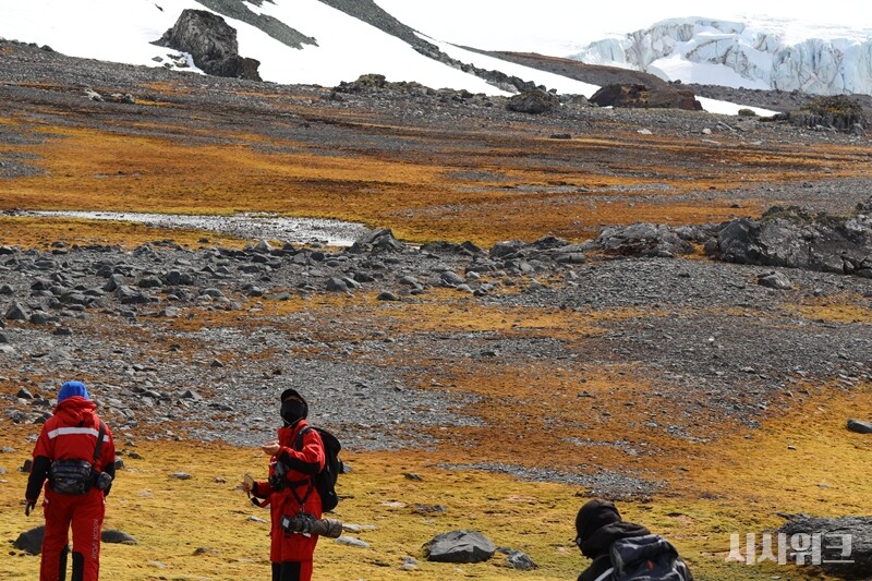 마치 화성처럼 보이는 포터소만의 모습. 이끼와 자갈로 덮여있어 우리에게 익숙한 남극과는 이질적인 모습이었다./ 사진=남극특별취재팀