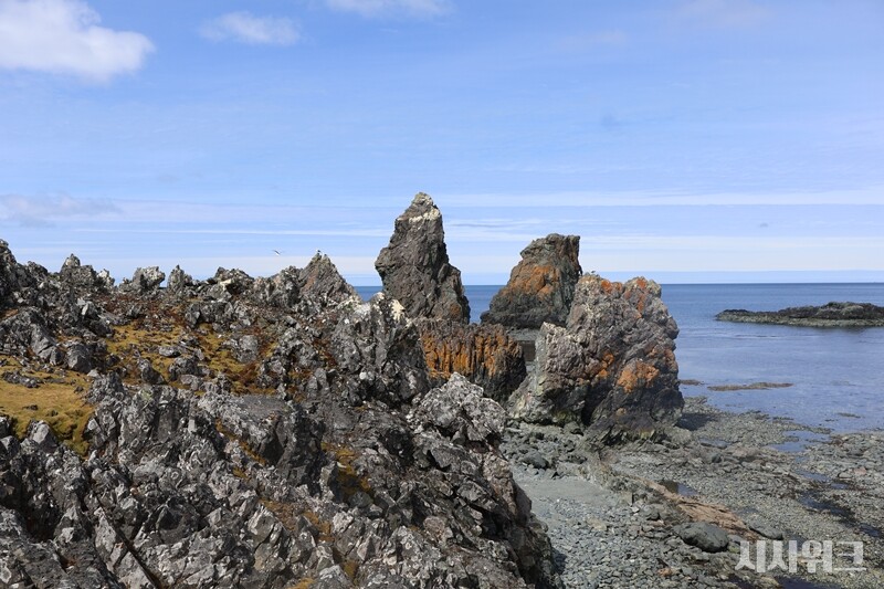 남극의 거친 바람과 파도에 날카롭게 깎여나간 포터소만의 지형. 한발한발 내딛는 것 자체가 고역이였다./ 사진=남극특별취재팀