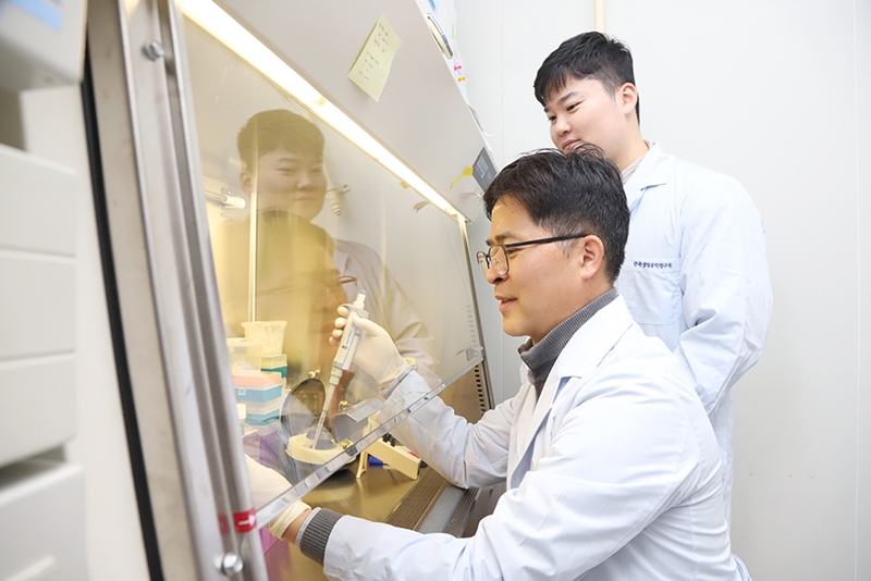 한국생명공학연구원(생명연)은 조이숙 면역치료제연구센터 박사 연구팀이 차세대 면역세포 ‘drNK(직접 전환 NK 세포, direct reprogramming Natural Killer cell)’를 개발했다고 18일 밝혔다./ 한국생명공학연구원