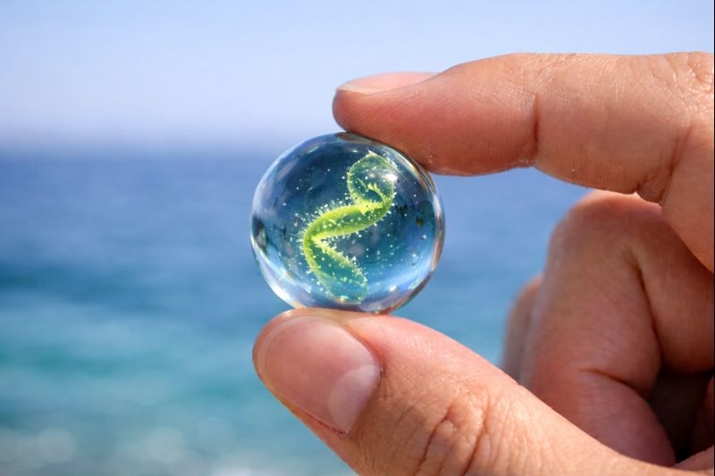 삼성전자가 최근 출시한 삼성 컬러 이페이퍼 신제품은 세계 최초로 식물성 플랑크톤 오일 기반 ‘바이오 레진(Bio-resin)’이 적용된 디스플레이다. 이제 해양플랑크톤은 신소재 산업의 새로운 블루오션으로 떠오르고 있다./ 생성형 AI로 제작한 이미지