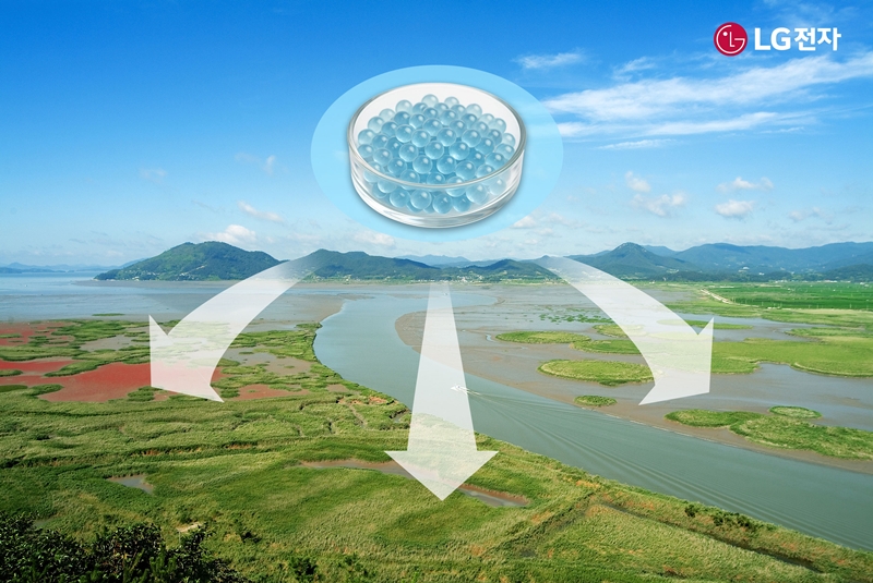  LG전자는 순천시, 서울대학교 블루카본사업단과 ‘블루카본(Blue Carbon) 흡수원 확대를 위한 협력’에 나선다고 11일 밝혔다. 이번 협력의 목표는 염생식물 등 해양 생물의 생장을 촉진하는 신소재 ‘마린 글라스(Marine Glass)’의 효과 검증이다./ LG전자
