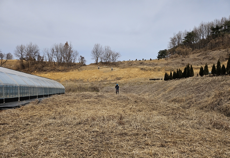 평소보다 일찍 분주하게 일을 하고 있는 올해, 하우스 보조사업을 신청하고 결과를 기다리고 있다. / 청양=박우주