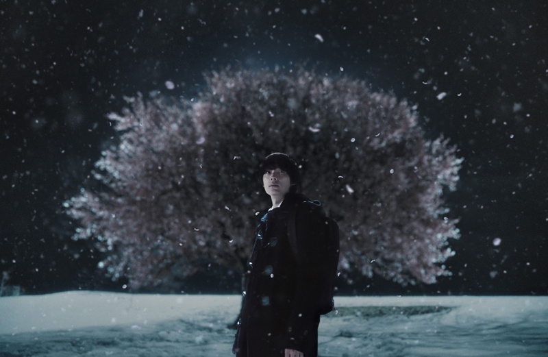 오쿠야마 요시유키 감독이 각색 기준을 밝혔다. 사진은 타카키를 연기한 마츠무라 호쿠토. / 롯데엔터테인먼트