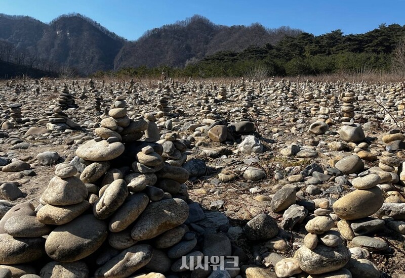 배를 타고 청령포에 도착하면 가장 먼저 맞이하는 돌탑들. / 권정두 기자