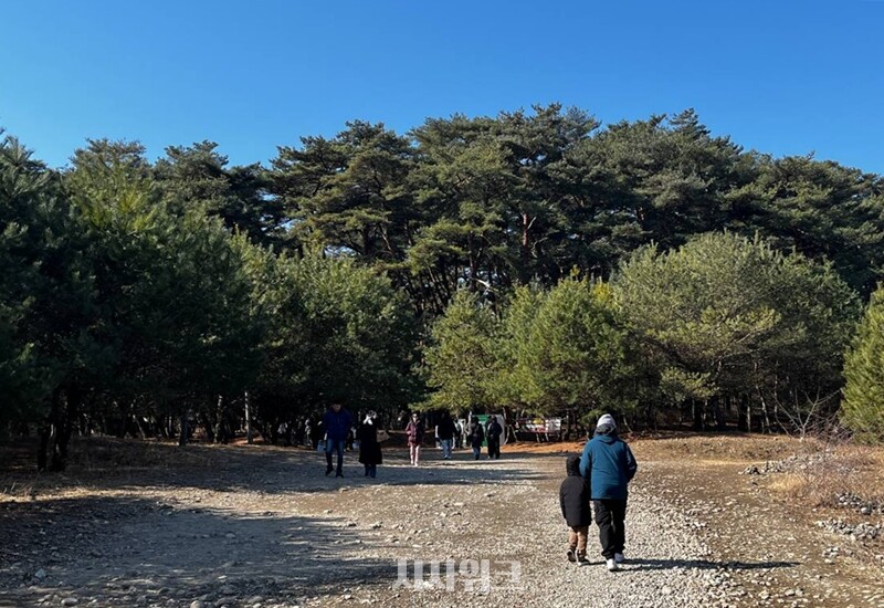 배에서 내려 비포장 길을 조금 걸어가면 새로운 세상을 마주하게 된다. / 권정두 기자
