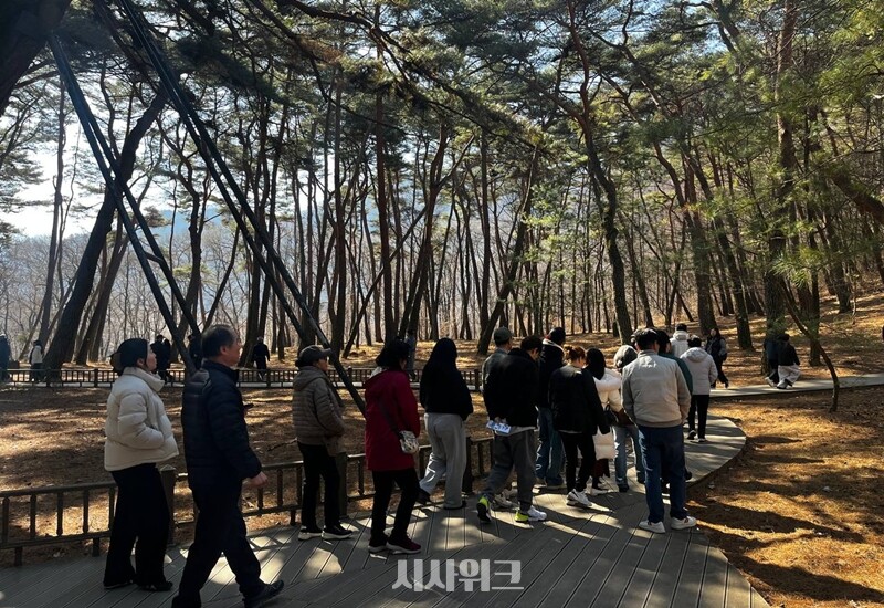 청령포를 찾은 많은 관광객들이 발걸음을 옮기고 있다. / 권정두 기자