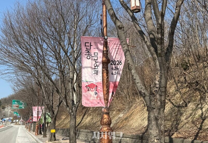 영월에 불어든 ‘단종 효과’는 다음달 열릴 예정인 ‘단종문화제’ 등으로 이어지며 한동안 지속될 전망이다. / 권정두 기자