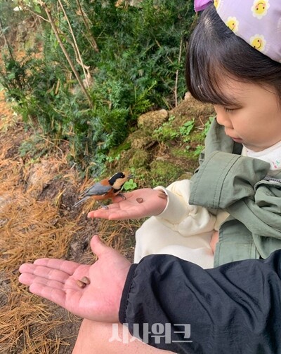 자연휴양림은 비용 부담이 덜하는 등의 장점이 있을 뿐 아니라, 아이들에게 특별한 경험을 선사해줄 수 있는 곳입니다. /권정두 기자
