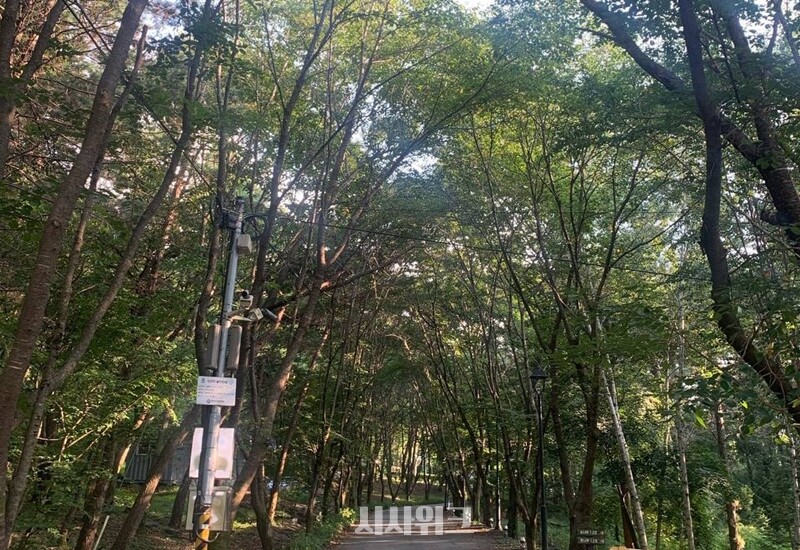 자연휴양림은 울창한 숲 등 자연을 만끽할 수 있다는 점이 큰 매력 중 하나입니다. /권정두 기자