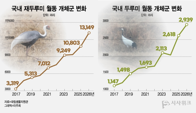 국내 두루미 및 재두루미의 월동 개체군 변화 그래프. 전문가들의 노력으로 국내 두루미 개체 수는 점차 회복세를 보이고 있다./ 자료=국립생물자원관