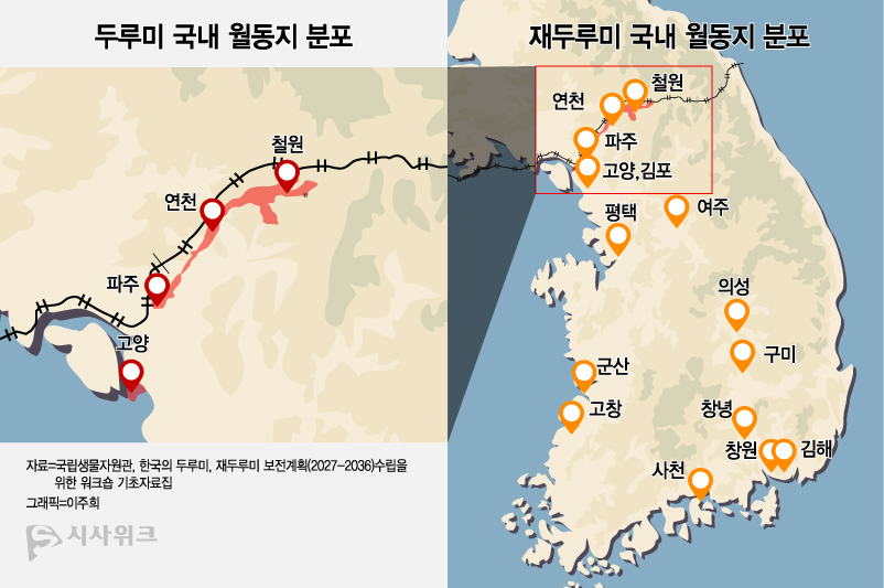 멸종위기 야생생물 Ⅰ급인 두루미와 멸종위기 야생생물 Ⅱ급인 재두루미는 한반도의 갯벌, 습지, 경작지, 초지에서 집단으로 월동한다. 식성은 잡식성으로 게, 어류와 같은 수생물이나 벼, 율무 등 곡물을 취식하고 밤에는 결빙된 저수지나 강의 모래톱 등에 모여 수면을 취한다. / 그래픽=이주희 기자