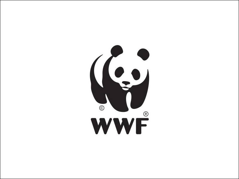 WWF 설립과 같은 해인 1961년, 런던 동물원에는 자이언트판다 ‘치치(Chi-Chi)’가 중국에서 왔다. 당시 대중들의 인기를 한 몸에 받았던 치치를 보고 WWF 설립자들은 누구나 알아볼 수 있는 멸종위기종의 상징으로 판다를 선택하게 된 것이다./ 한국WWF