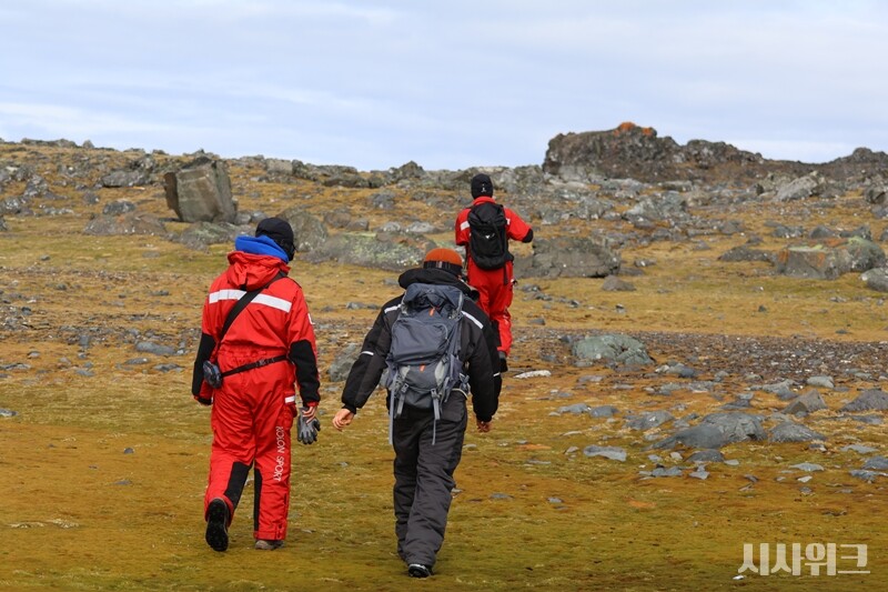 극지연구소 연구팀과 제38차 세종과학기지 월동대원들이 해표마을을 탐색하는 모습./ 사진=남극특별취재팀