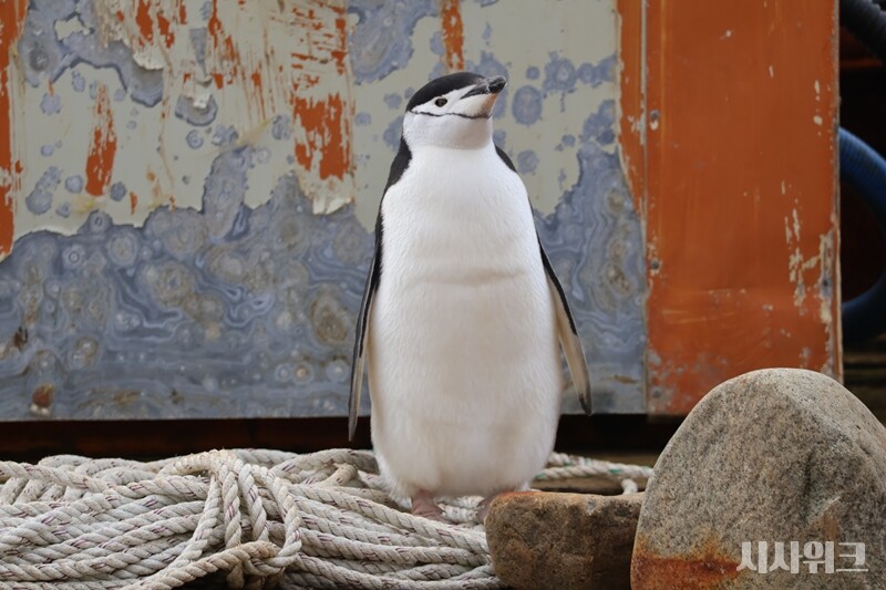 “체크인은 어디서 하면 될까요?” / 사진=남극특별취재팀