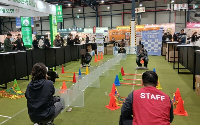 반려견 스포츠 대회 ‘멍드컵’도 진행됐다. 보호자를 따라 장애물을 순서대로 통과해 코스를 완주하는 방식이다. / 사진=김지영 기자
