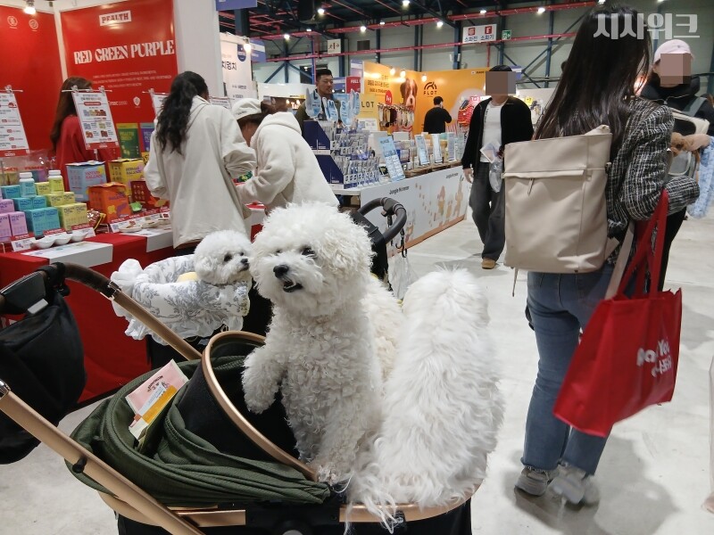 반려동물 영양제 브랜드 빌리스벳의 이상휘(40) 대표에 따르면 반려견 영양제 시장은 한국, 동남아 시장을 중심으로 성장하고 있다. / 사진=김지영 기자