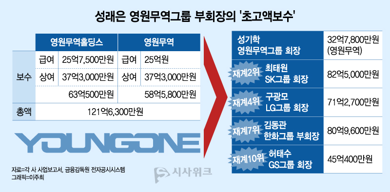 성래은 부회장의 보수는 재계 전반과 비교해도 상당한 수준이다. / 그래픽=이주희 기자