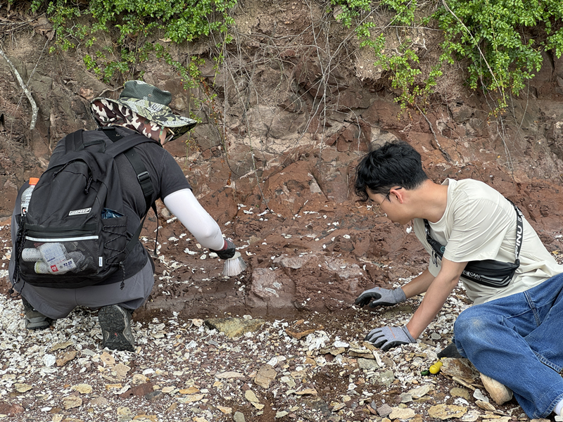 전남대학교 한국공룡연구센터, 국립광주과학관, 미국 오스틴 텍사스대학교 공동 연구진이 둘리사우루스 화석을 발굴하는 모습./ 국립광주과학관