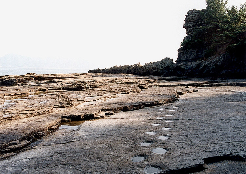 미국, 중국 등 공룡화석이 자주 발견되는 지역과 비교해도 한반도는 ‘공룡의 천국’이라 불릴만한 곳이었다. 실제로 고성, 해남 지역은 세계 최고 수준의 공룡 발자국 화석 밀집도를 자랑한다. 사진은 경남 고성의 공룡 발자국 화석./ 국가유산청
