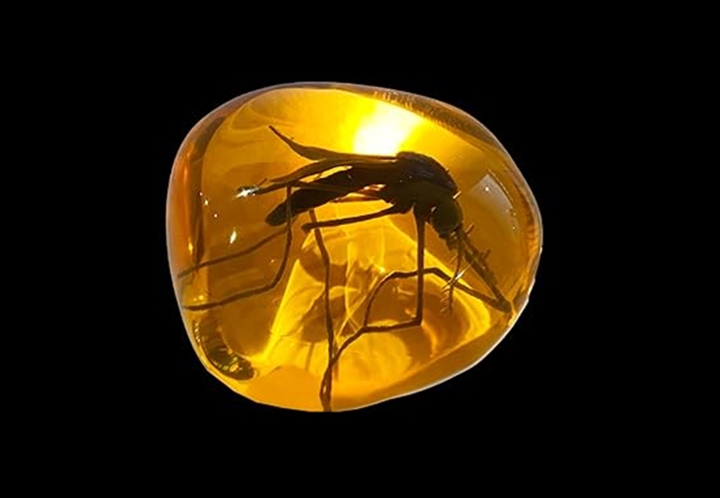 영화에서는 호박 화석 속에 잠든 모기에서 공룡의 혈액을 추출, DNA를 복원했다. 여기서 문제가 있다. 모기 화석에 공룡의 혈액이 남아있더라도 매우 극소량의 DNA만 추출이 가능하기 때문이다. 이에 소설 속 과학자들은 DNA를 대량으로 증폭하는 기술을 사용한다. 바로  ‘중합 효소 연쇄 반응(Polymerase Chain Reaction)’, 일명 ‘PCR’이다./ Amazon