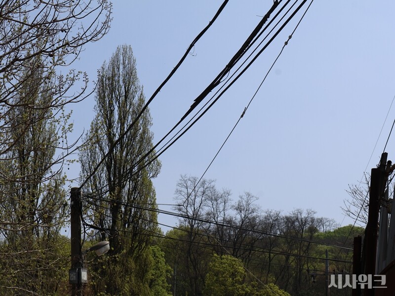 구룡마을 주변의 낡은 전선들. 주민들에 따르면 전선들은 대부분 30년 이상 낡았다고 한다. 이로 인해 누선, 화재 등이 발생해 에어컨, 선풍기 등 냉방기구가 있어도 가동이 어렵다는 입장이다. / 사진=박설민 기자  