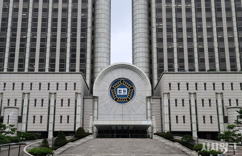 대법원은 사건에서 또 다른 핵심 쟁점으로 제기된 ‘상호주 구조 형성 과정의 적법성’에 대해서는 별도로 결론을 내린 것은 아니다. / 사진=김두완 기자